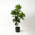 Load image into Gallery viewer, Copac Artificial Ficus Lyrata Artificial 155cm cu 70 Frunze
