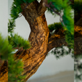 Load image into Gallery viewer, Aeternum Pine