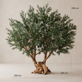 Load image into Gallery viewer, Ancient Olive
