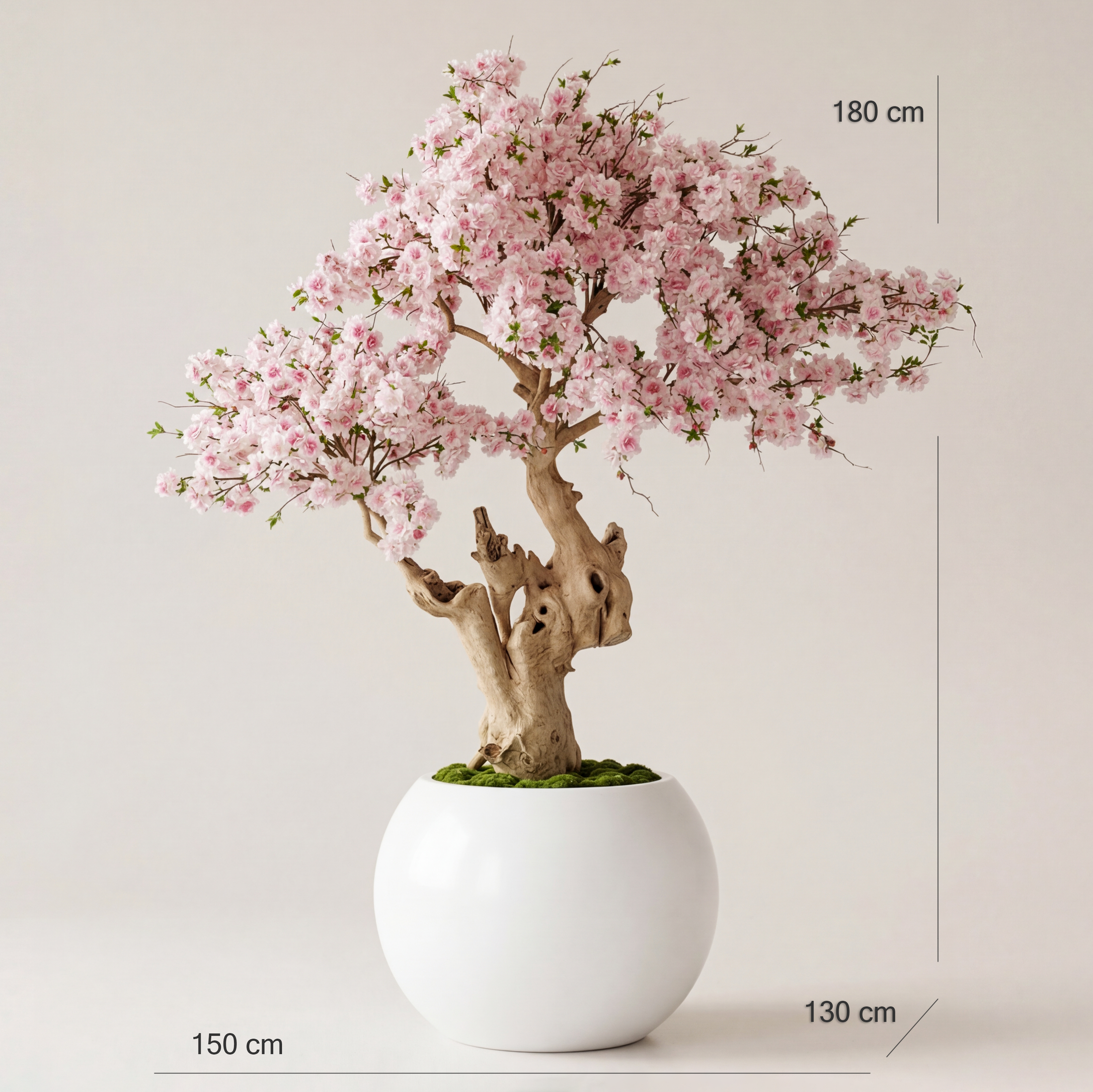 Flora Serene